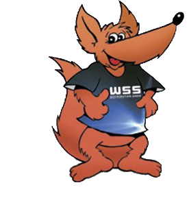 schlau fuchs